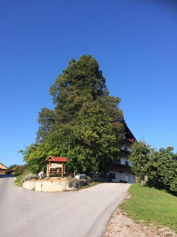 Country House Apat Sostanj ภายนอก รูปภาพ
